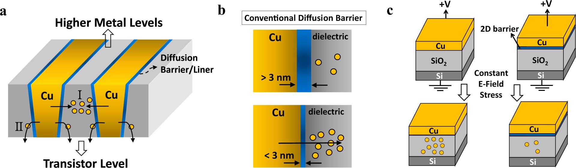 Studies of two-dimensional h-BN and MoS2 for potential diffusion barrier  application in copper interconnect technology | npj 2D Materials and  Applications