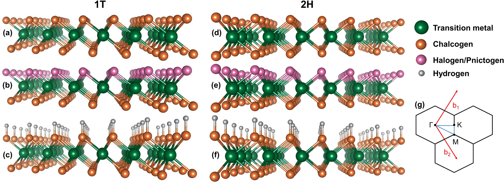 Predicting Two Dimensional Topological Phases In Janus Materials By Substitutional Doping In Transition Metal Dichalcogenide Monolayers Npj 2d Materials And Applications Predicting Two Dimensional Topological Phases In Janus Materials By Substitutional Doping In Transition Metal Dichalcogenide Monolayers Npj 2d Materials And Applications