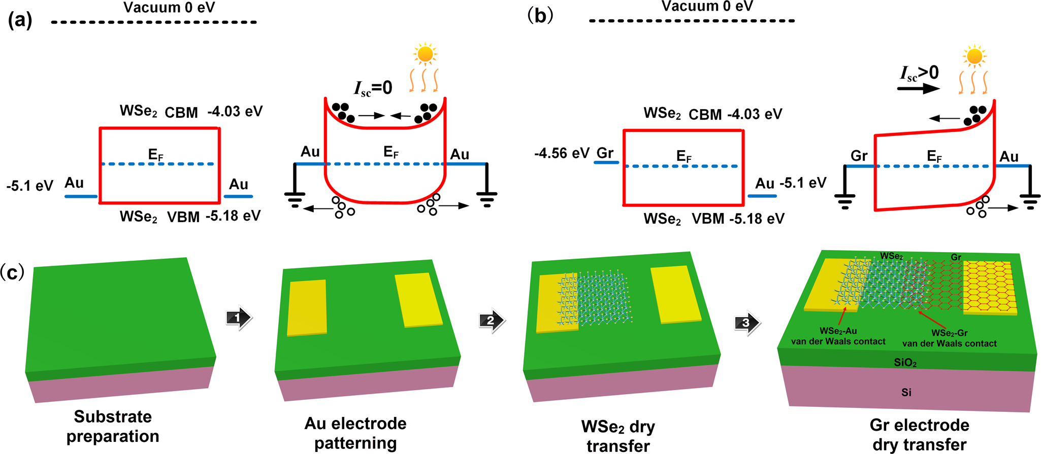 Self-driven WSe2 photodetectors enabled with asymmetrical van der Waals  contact interfaces | npj 2D Materials and Applications