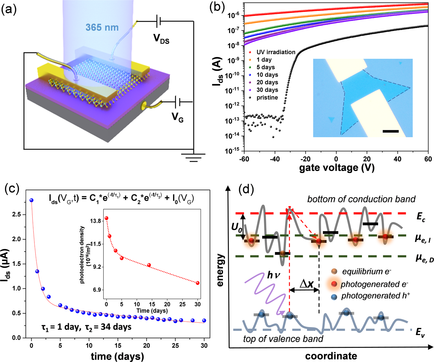 Giant persistent photoconductivity in monolayer MoS2 field-effect  transistors | npj 2D Materials and Applications