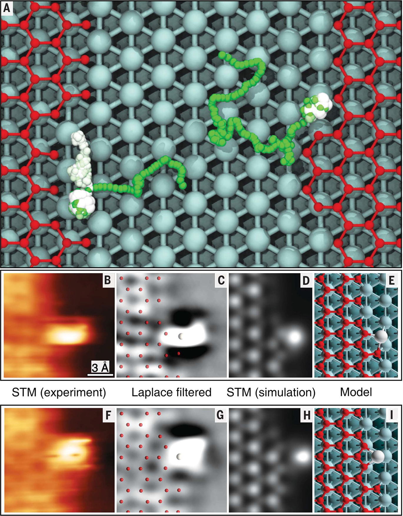 Fig. 3: Nickel adatoms at the graphene edges.
