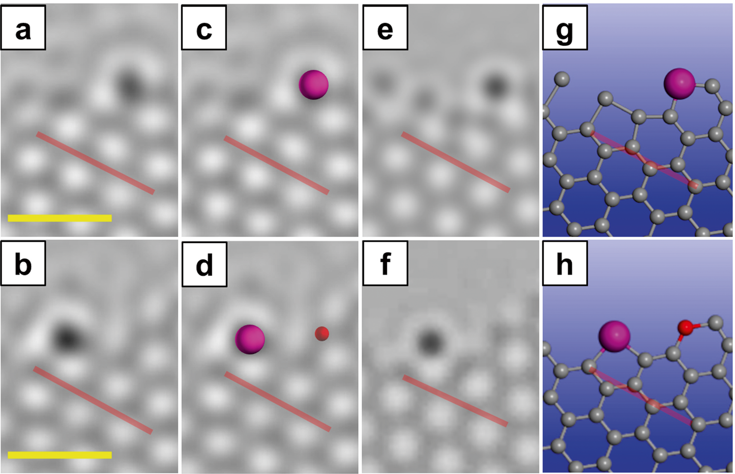Fig. 9: Catalytic growth (C incorporation) at a graphene edge by a diffusing Ni SAC.
