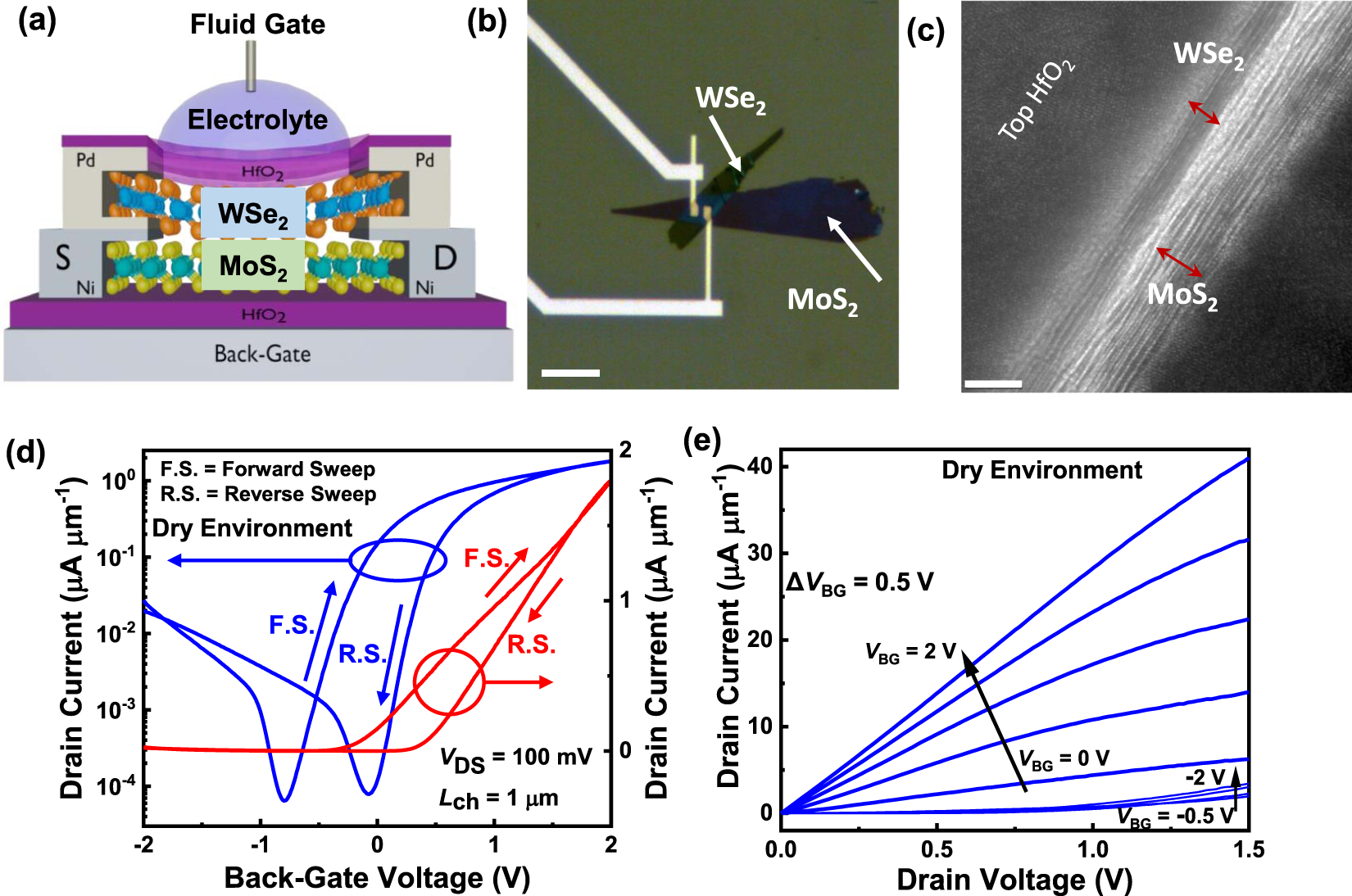 Super-Nernstian ion sensitive field-effect transistor exploiting charge  screening in WSe2/MoS2 heterostructure | npj 2D Materials and Applications