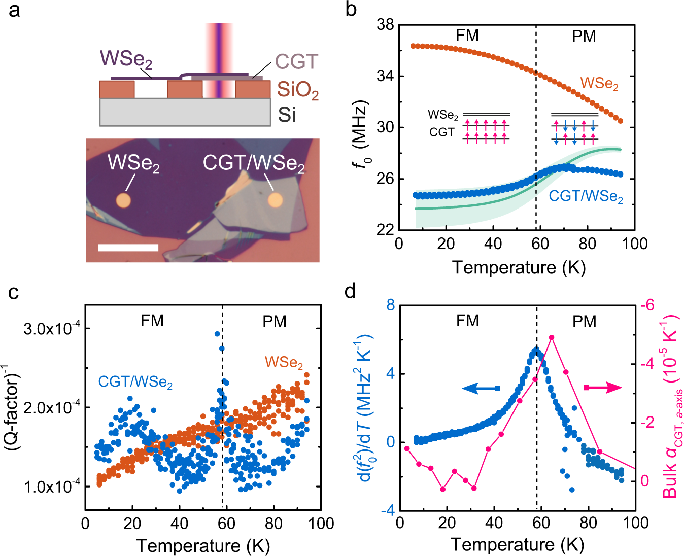 Fig. 3: Mechanical properties of a suspended CGT/WSe2 (16.7 ± 0.3 nm/6.9 ± 0.1 nm) heterostructure membrane with a radius r = 2 μm.
