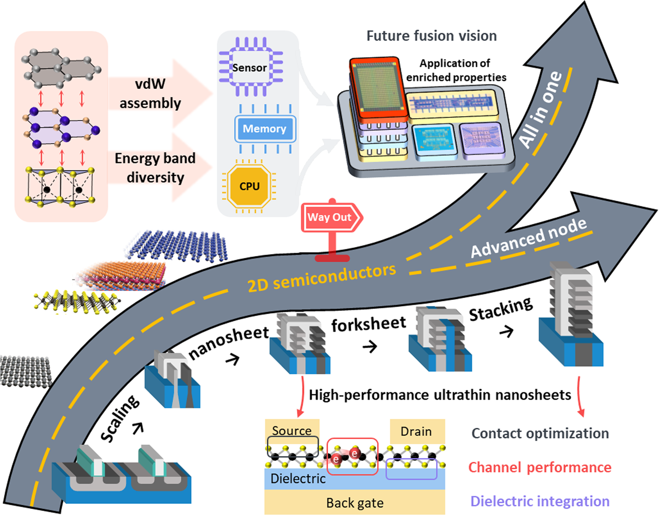 2D semiconductors for specific electronic applications: from 