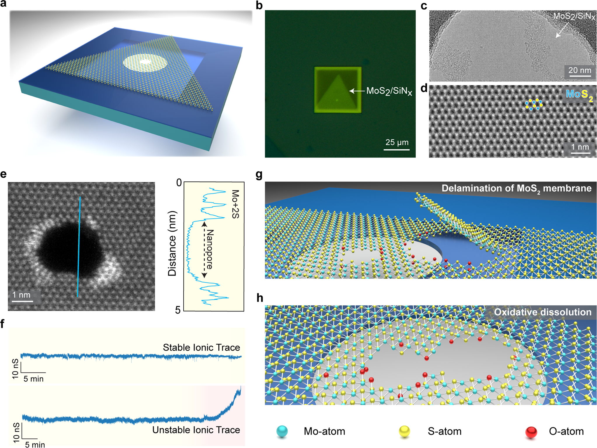 High durability and stability of 2D nanofluidic devices for long-term  single-molecule sensing | npj 2D Materials and Applications