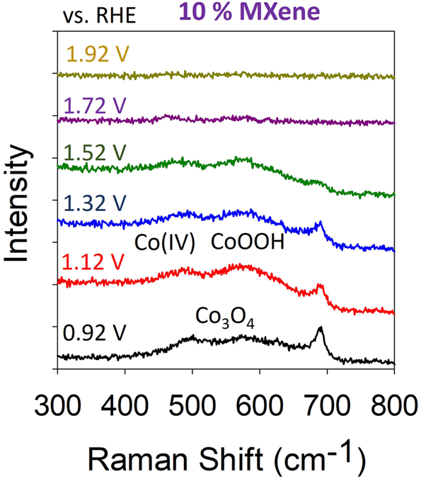 Fig. 8: Further OER active site investigation.