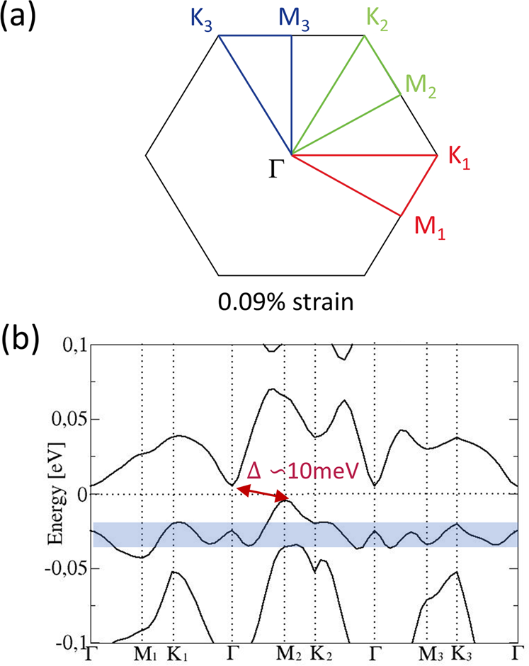 Fig. 9
