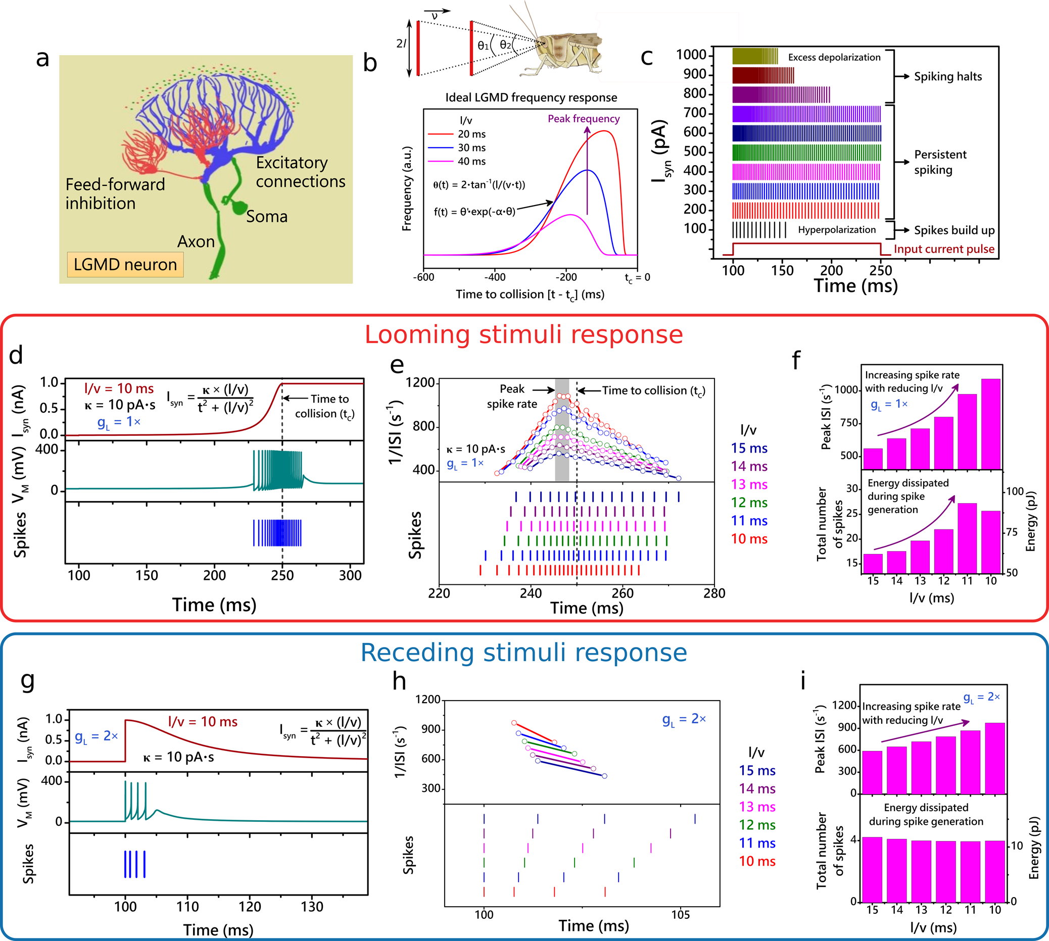Fig. 4: Obstacle tracking and collision detection with LGMD-like spike response.