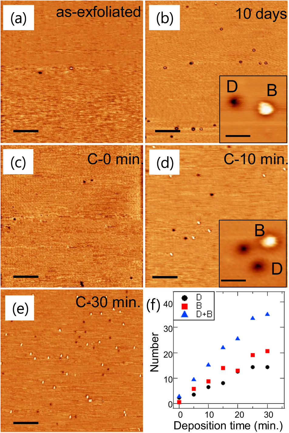 Fig. 3: STM images.