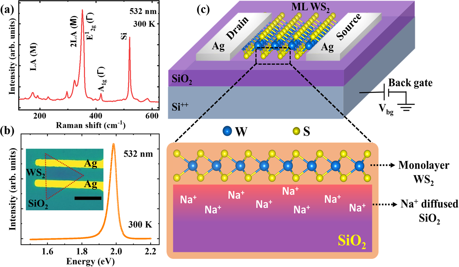 Ionotronic WS2 memtransistors for 6-bit storage and neuromorphic adaptation  at high temperature | npj 2D Materials and Applications