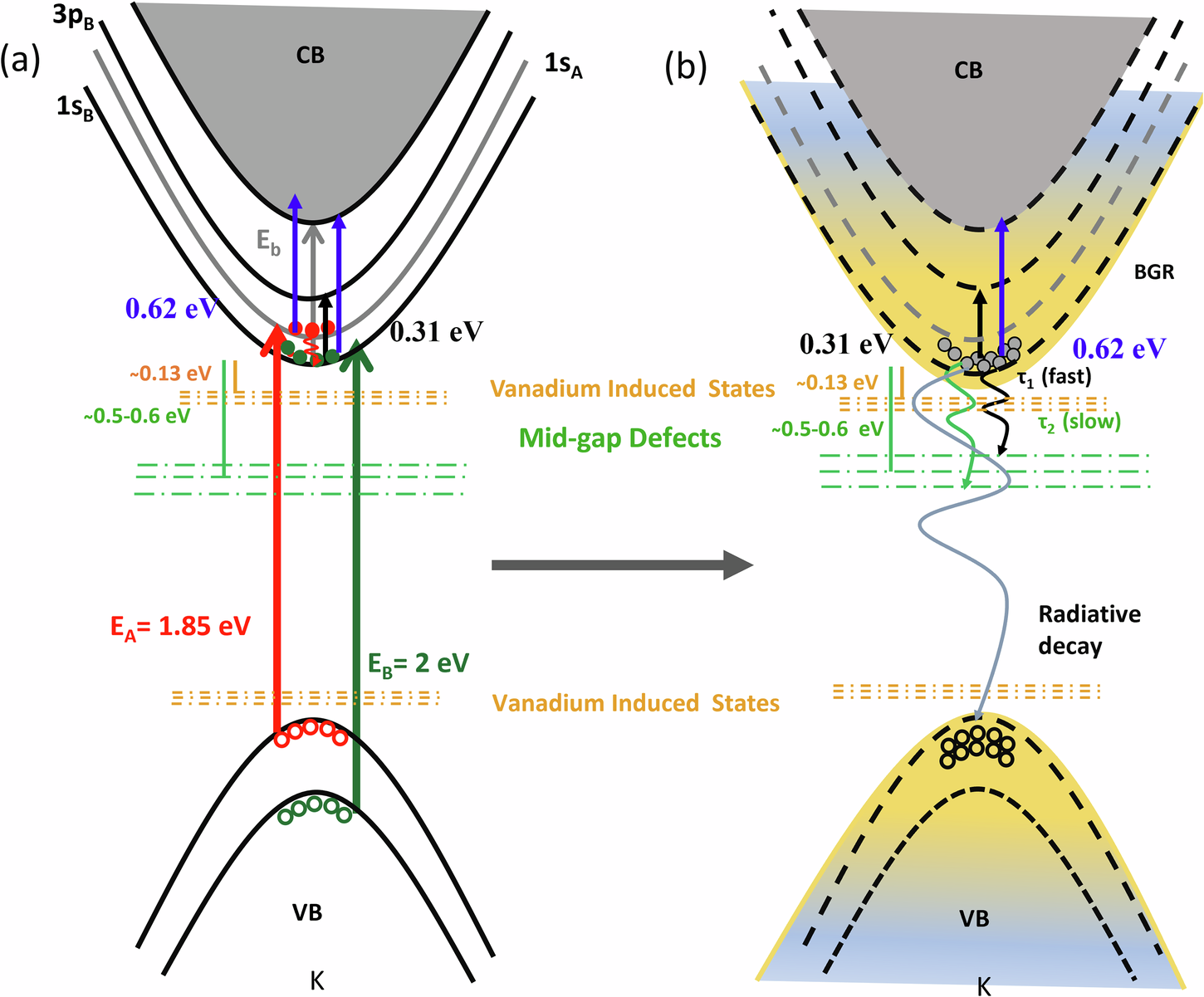 Fig. 1: Schematic of resonant exciton pumping and carrier relaxation dynamics.