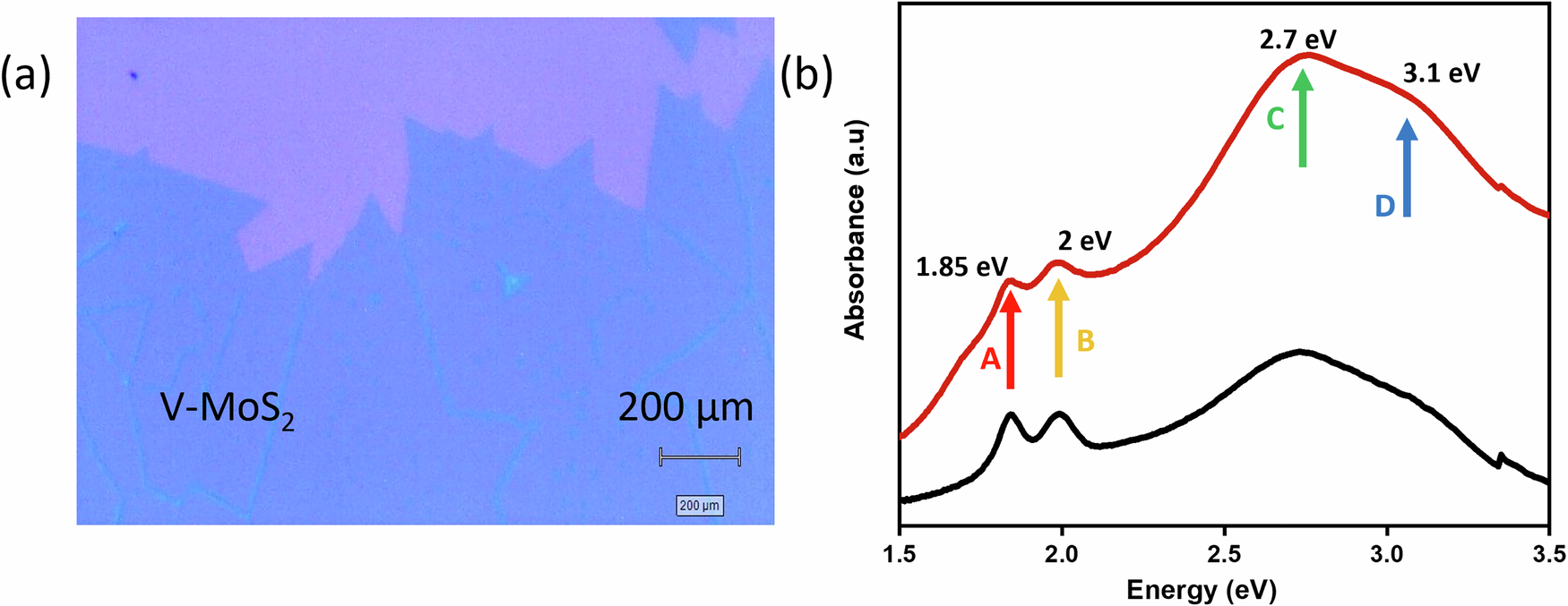Fig. 2: Morphology and UV–visible spectrum.