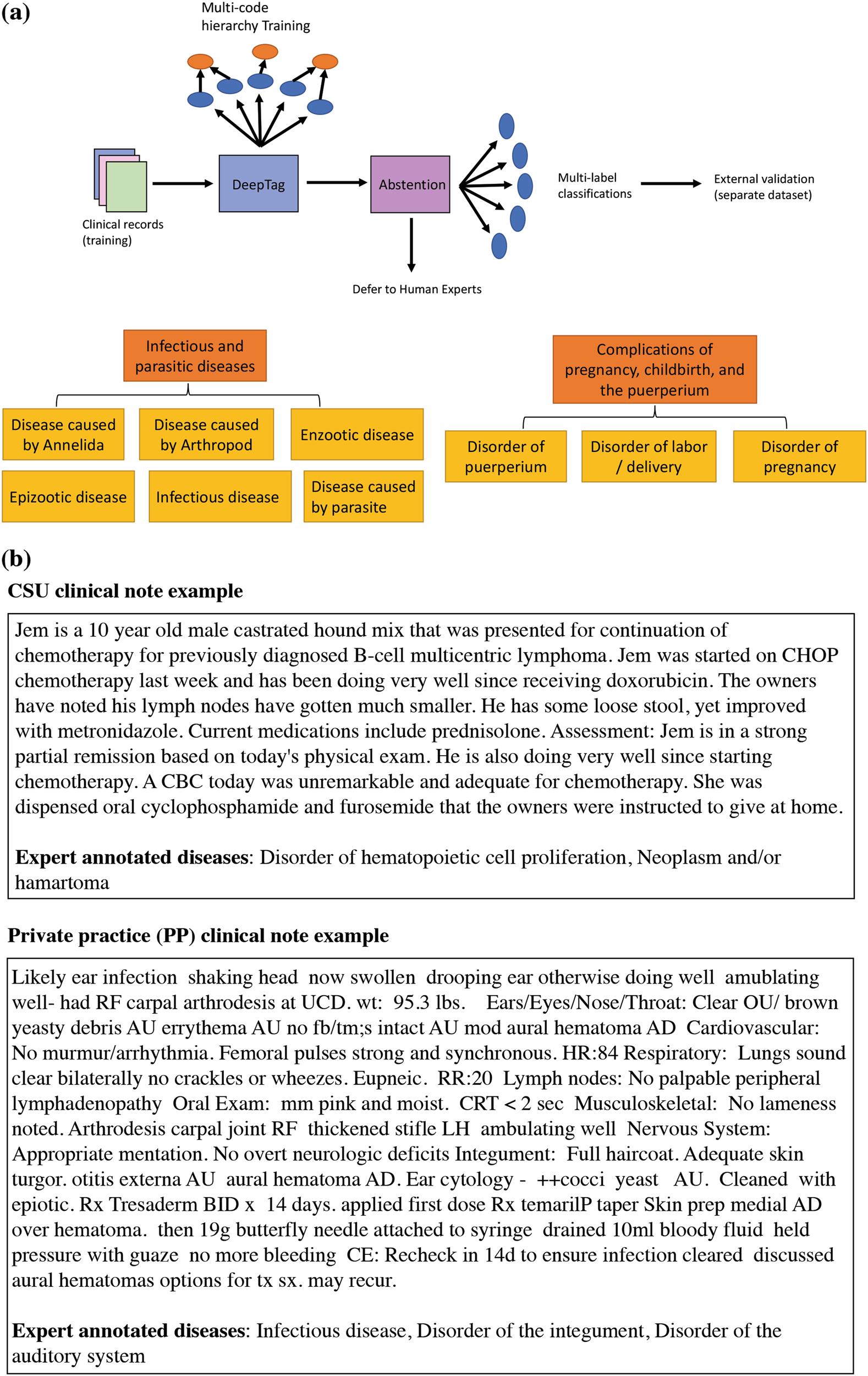 Deeptag Inferring Diagnoses From Veterinary Clinical Notes Npj Digital Medicine Deeptag Inferring Diagnoses From Veterinary Clinical Notes Npj Digital Medicine