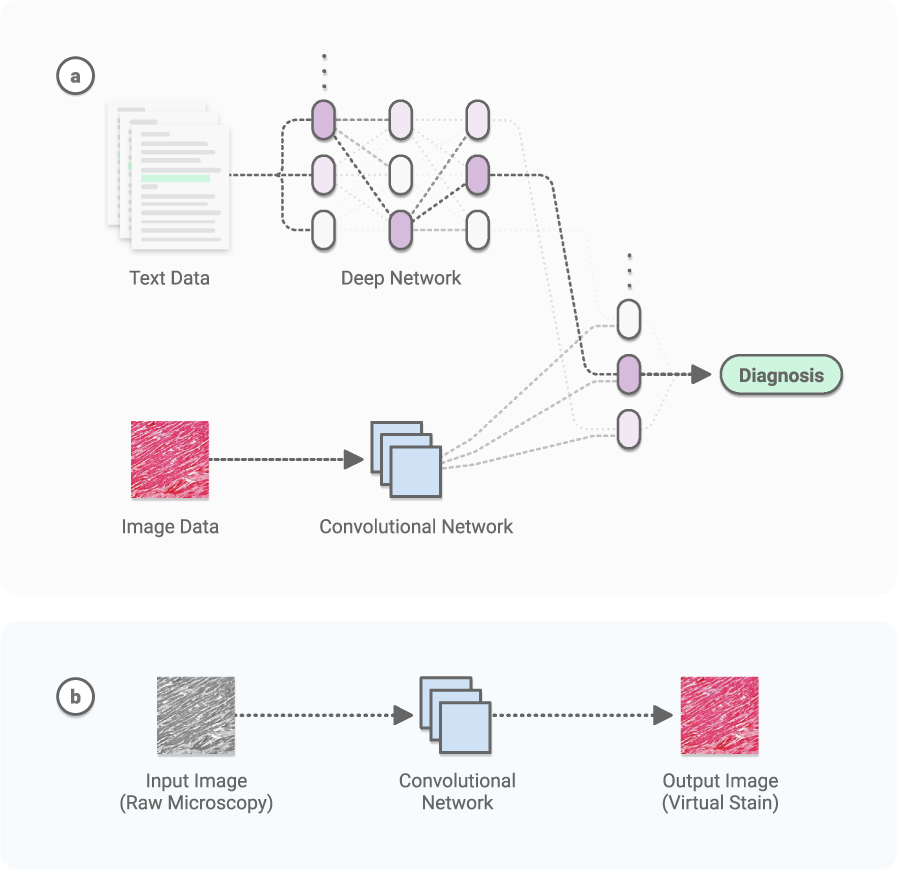 Inspection of visible components in urine based on deep learning