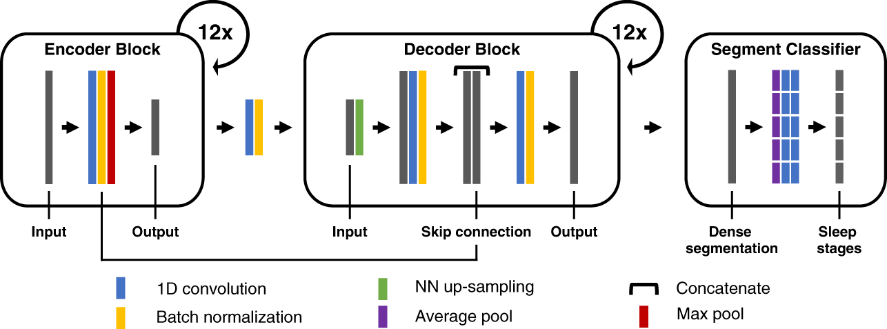 USleep Architecture