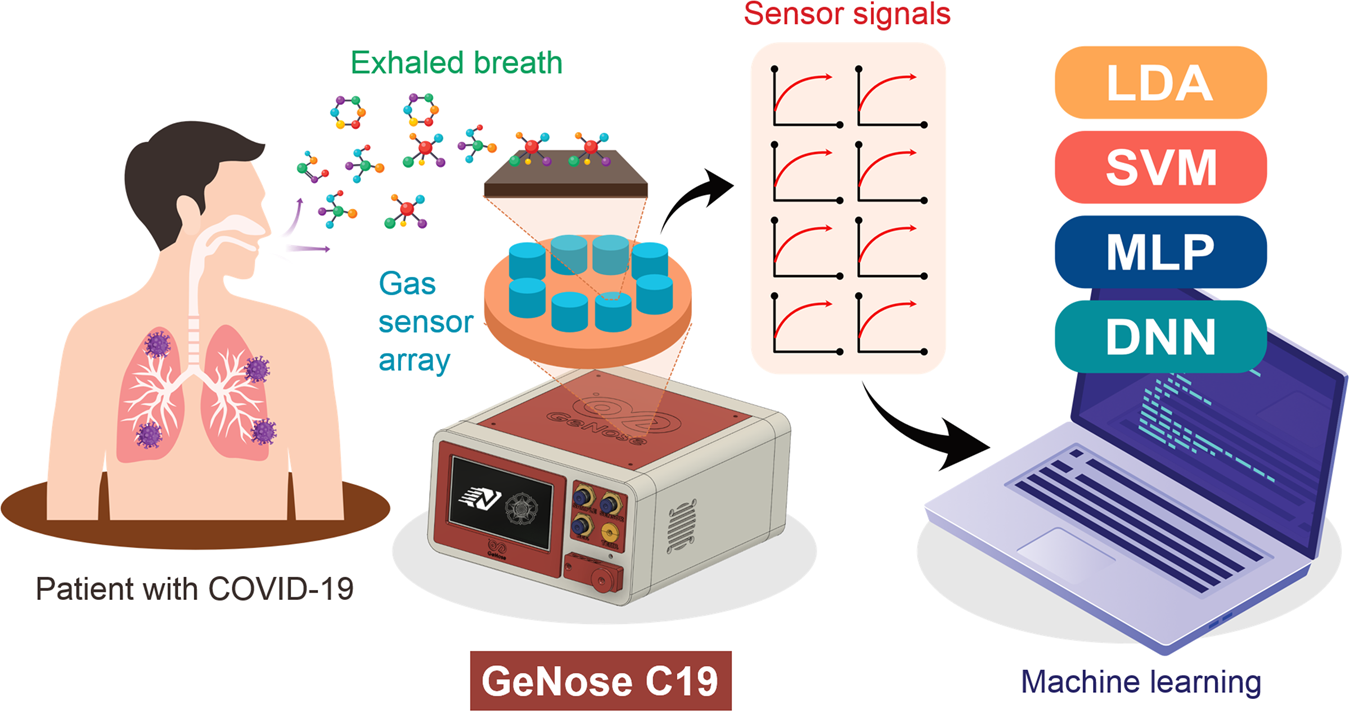 Fast and noninvasive electronic nose for sniffing out COVID-19 based on  exhaled breath-print recognition | npj Digital Medicine