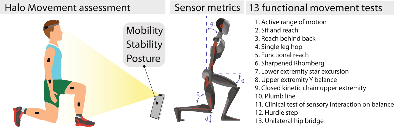 Validation of Amazon Halo Movement: a smartphone camera-based assessment of  movement health | npj Digital Medicine