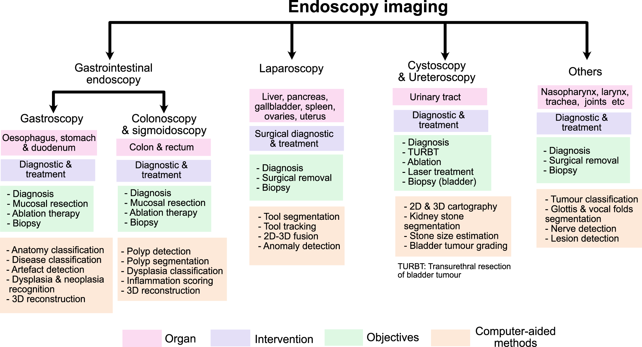 AI system detects cancer tumours missed by conventional diagnostics