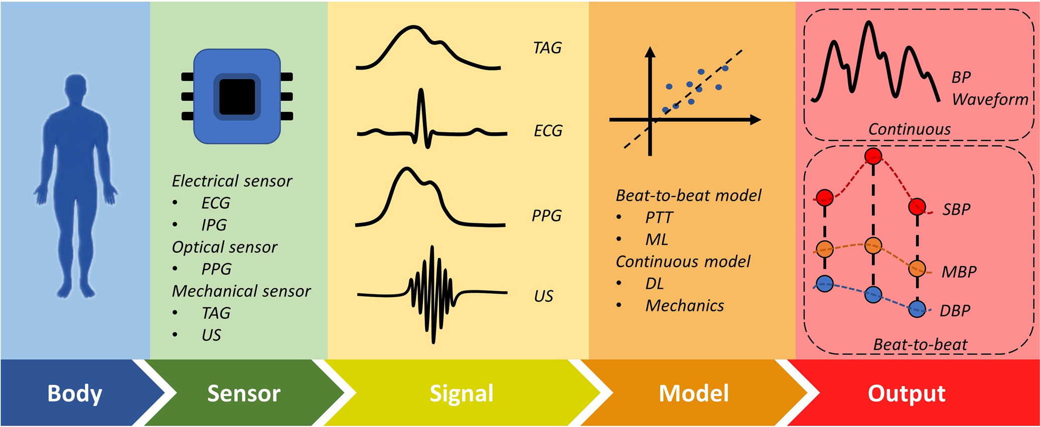 Emerging sensing and modeling technologies for wearable and cuffless blood  pressure monitoring