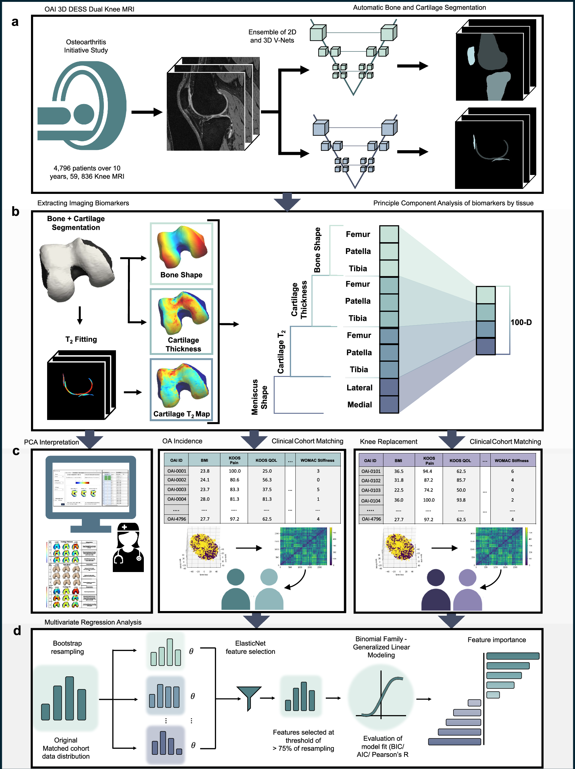 Fig. 1: Framework for extracting and validating core components for a knee joint digital twin.