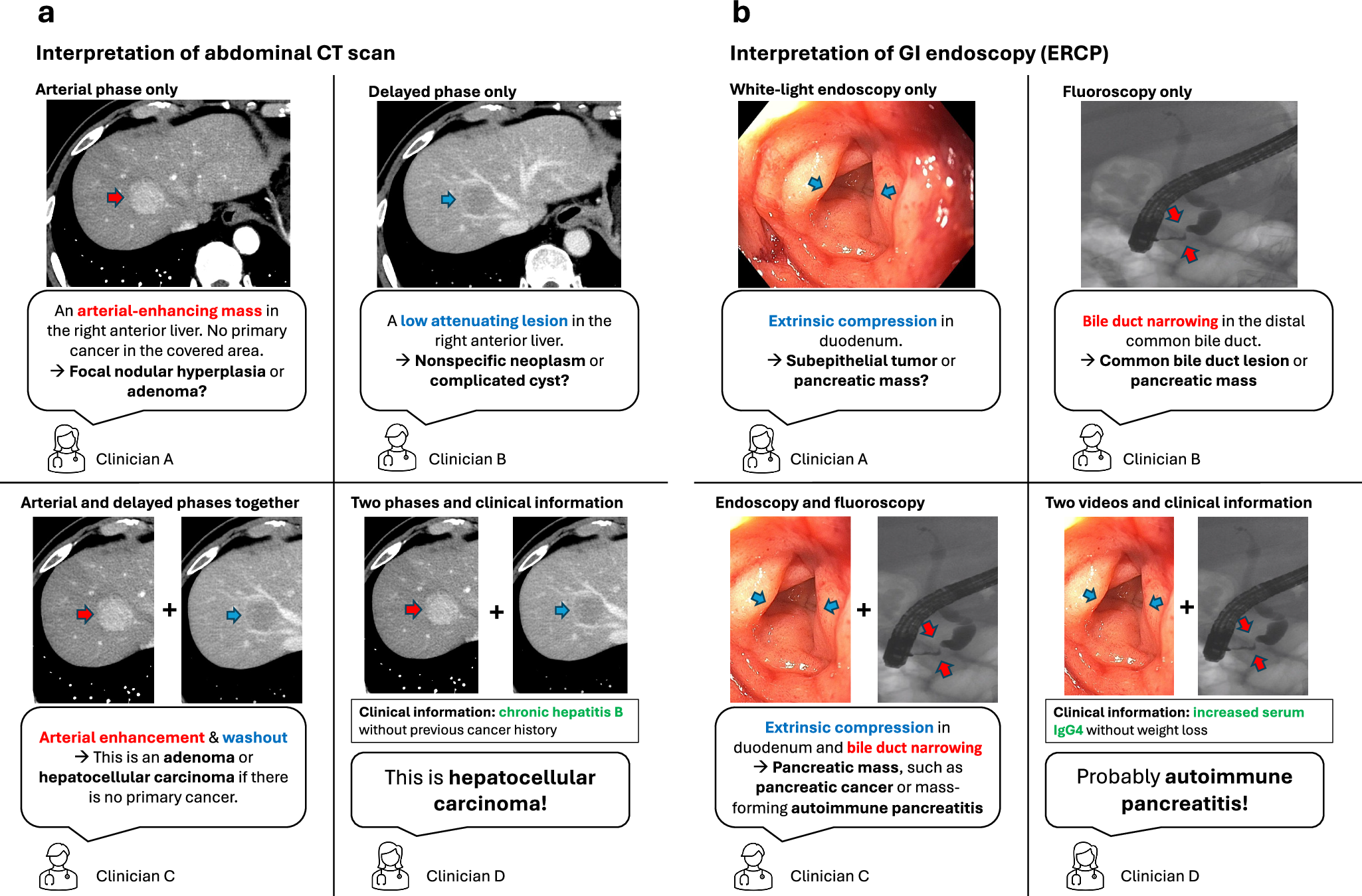 Fig. 1: An illustrative example of the role of synergistic information in the accurate interpretation of 3D medical images and medical videos.
