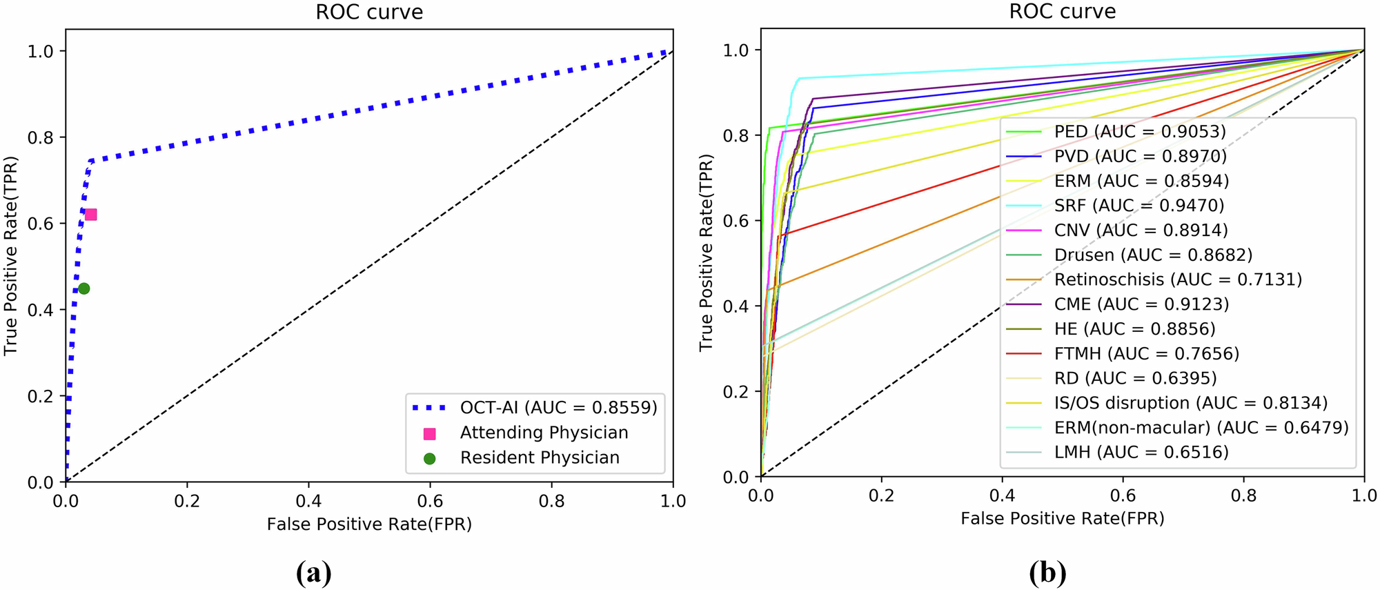 Fig. 4: ROC curves and AUC values of the OCT-AI model.