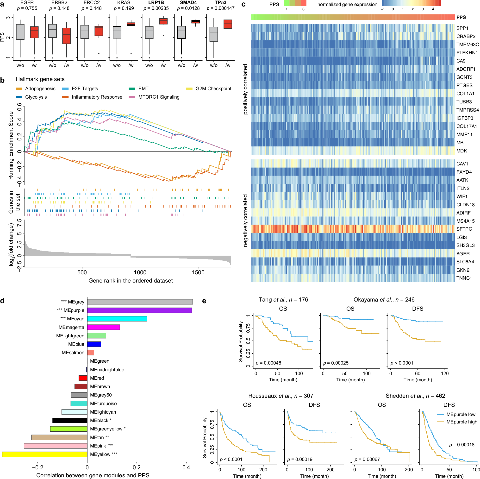 Fig. 4: RadioTrace is associated with gene expression of esLUAD tumors.