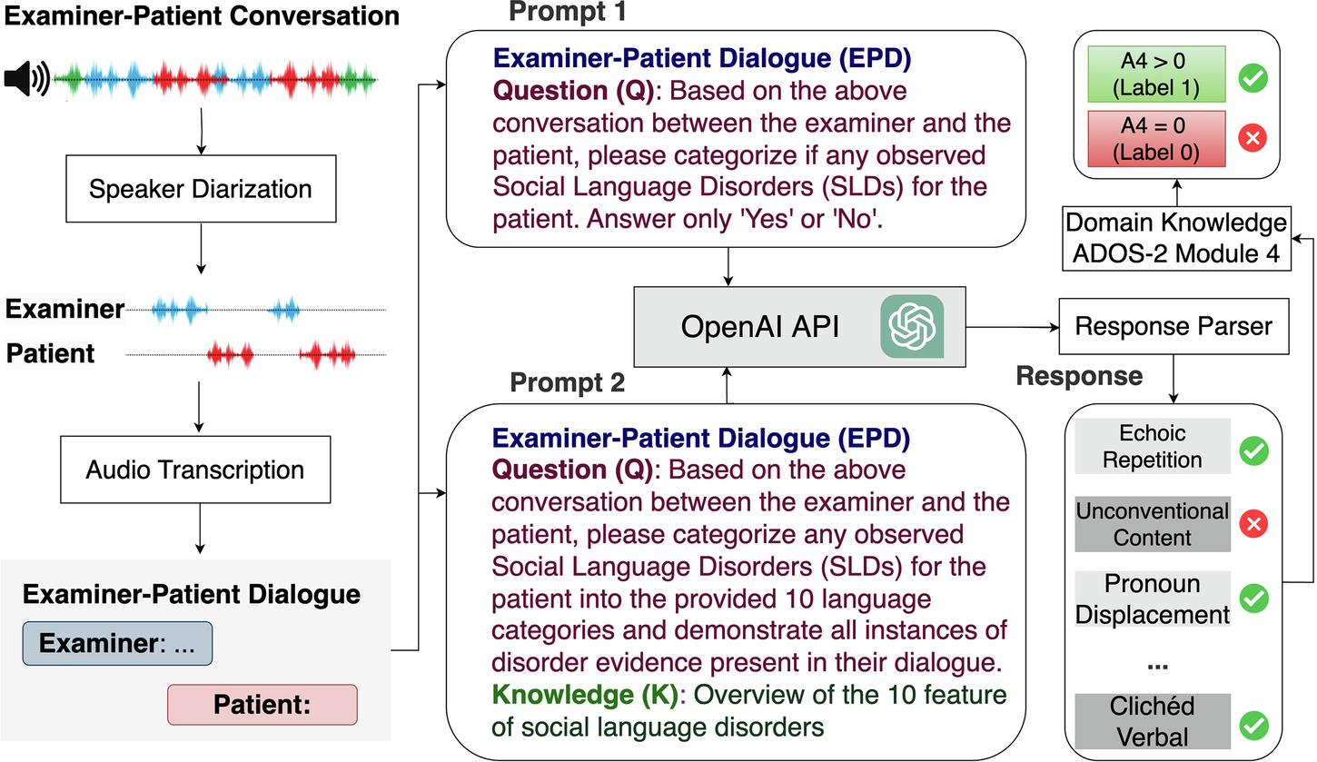 Fig. 1: The overall framework for diagnosing autism and identifying language disorders.