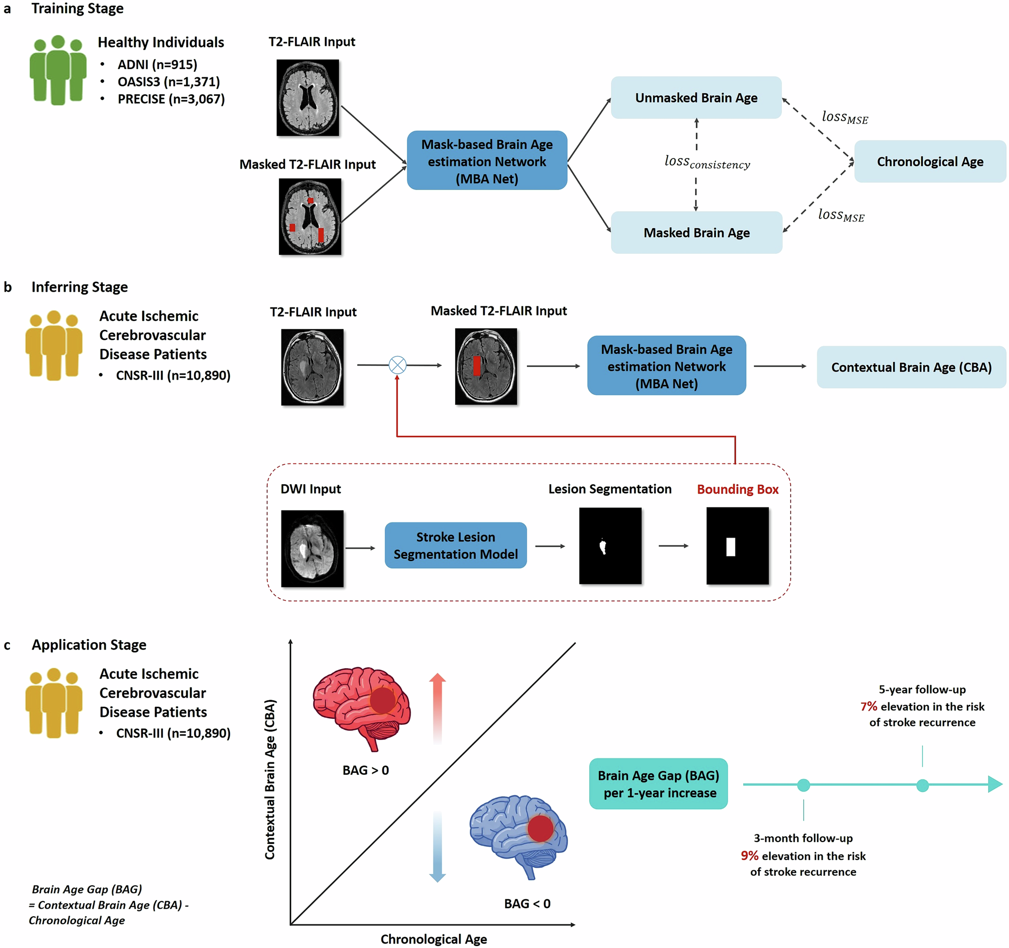Deep learning-based brain age predicts stroke recurrence in acute ischemic  cerebrovascular disease | npj Digital Medicine
