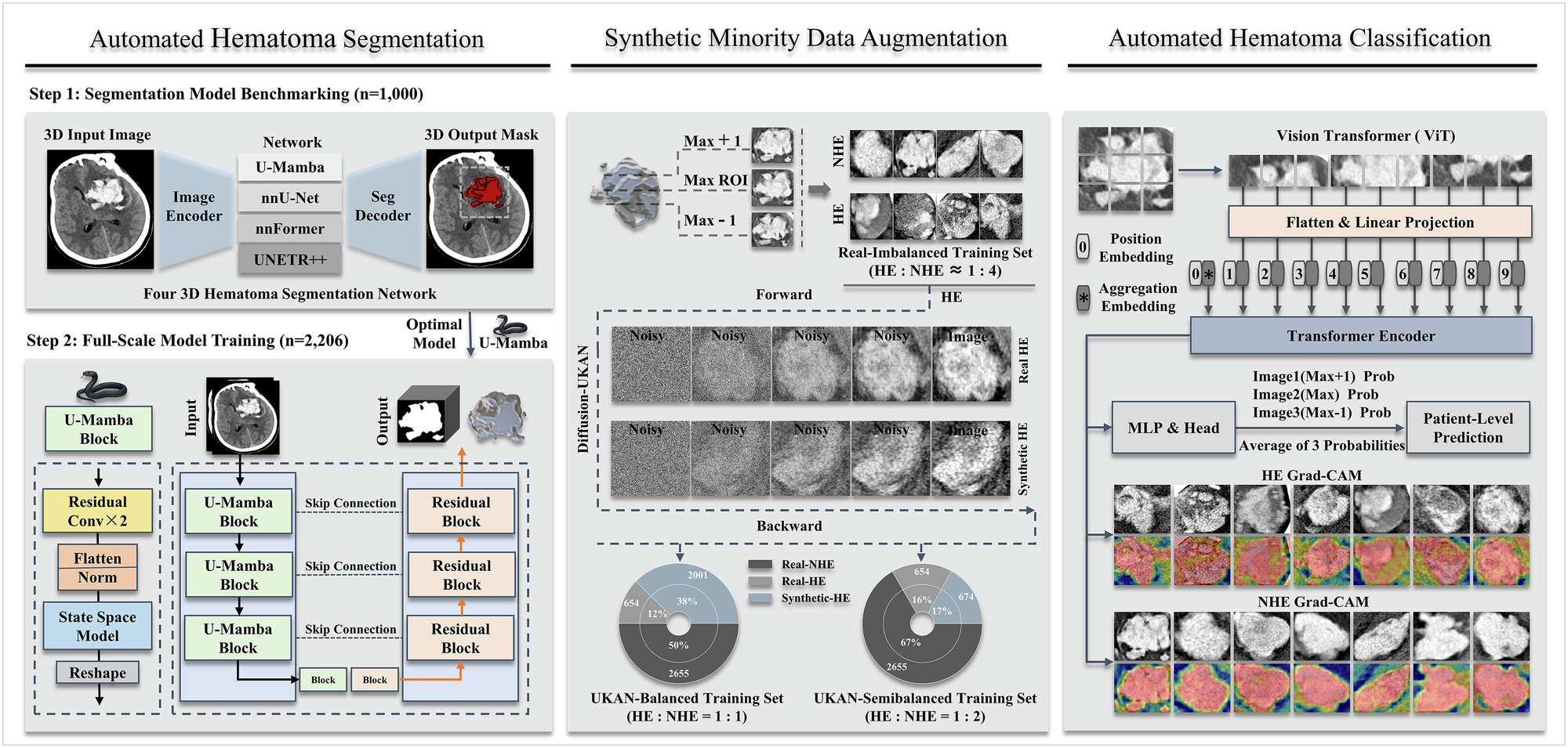 Fig. 2: Study workflow.