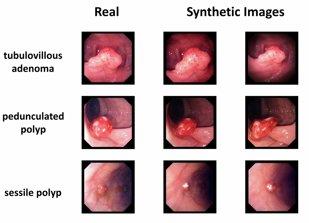Fig. 13: Validation of conditional generation.