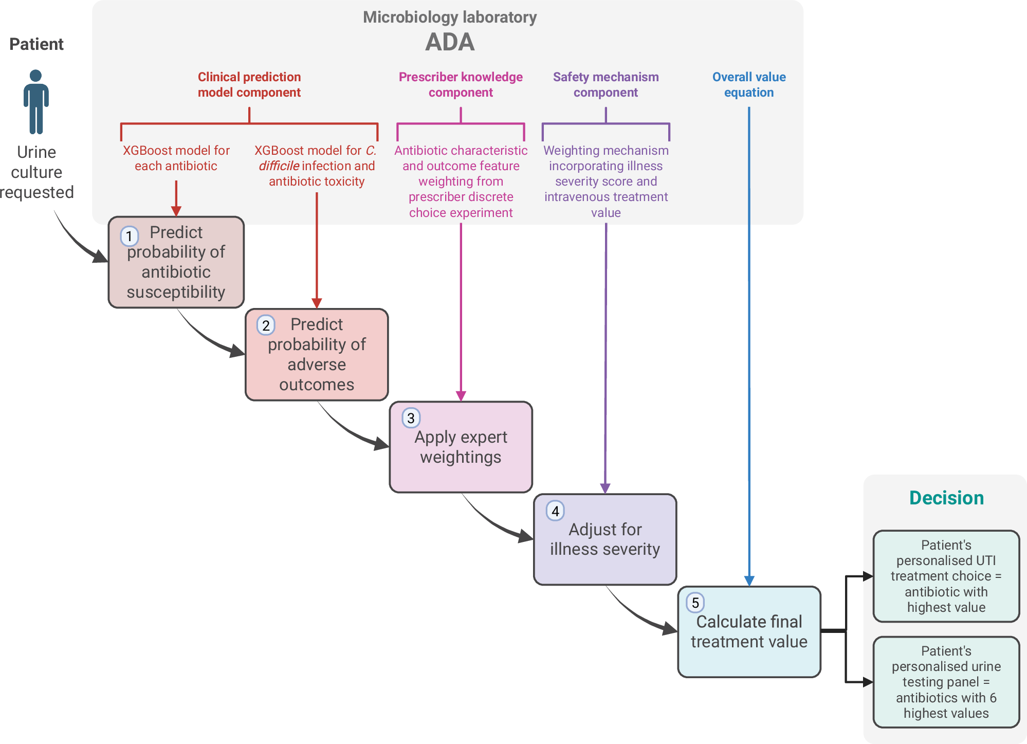 Fig. 1: Structure of the antibiotic decision-making algorithm.