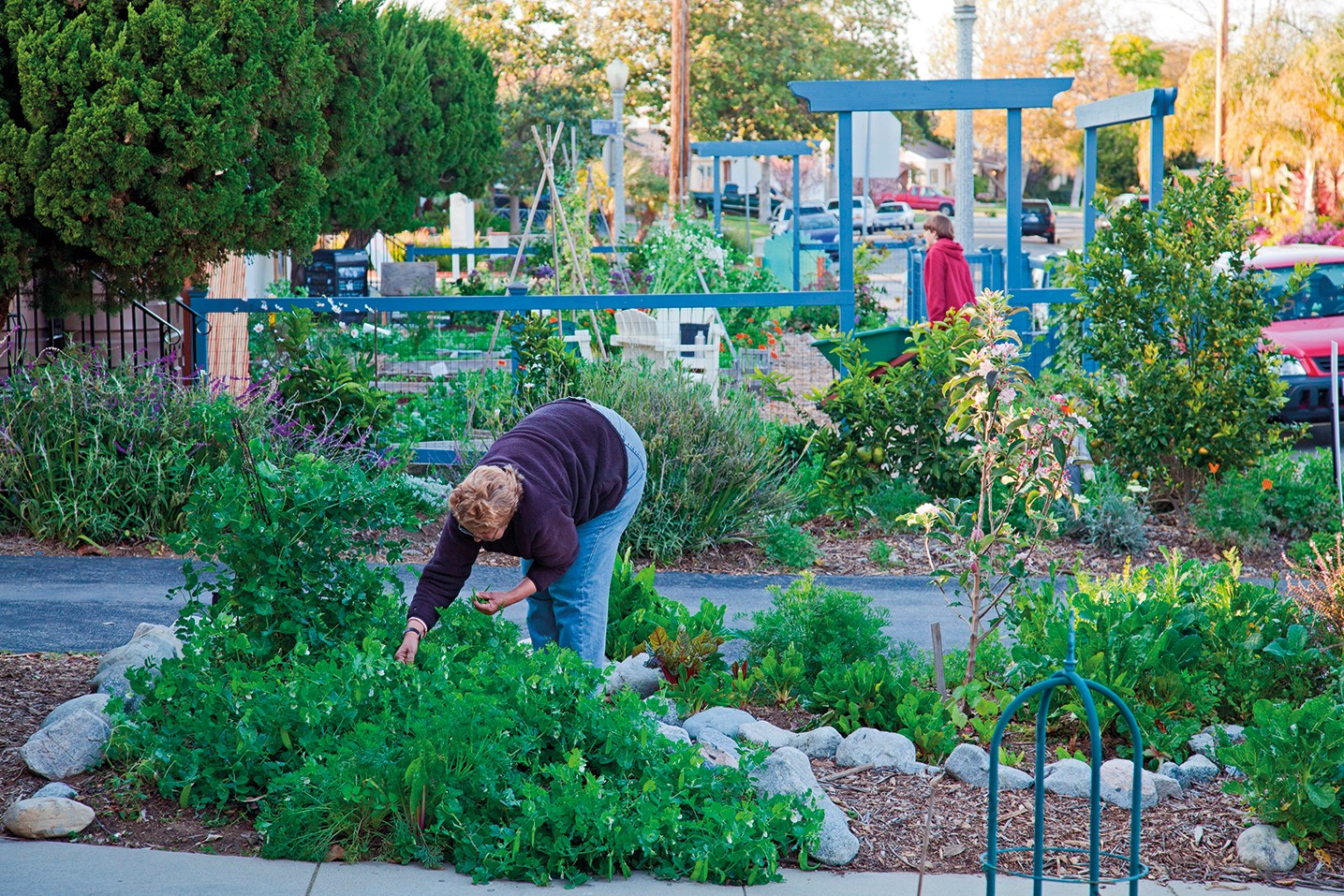 Urban Agriculture Growth In Us Cities Nature Sustainability