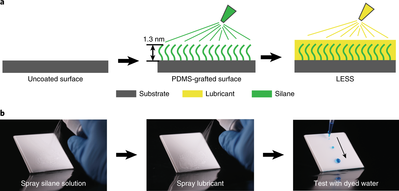 WATER REPELLENT COATINGS FOR GLASS AND CERAMIC SURFACES 