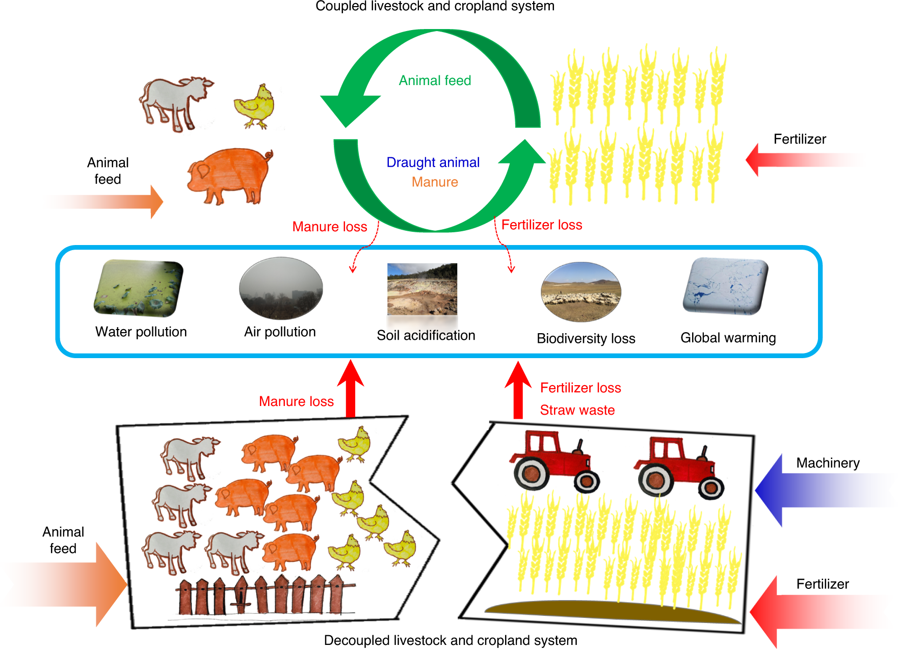 Decoupling livestock and crop production at the household level in China |  Nature Sustainability