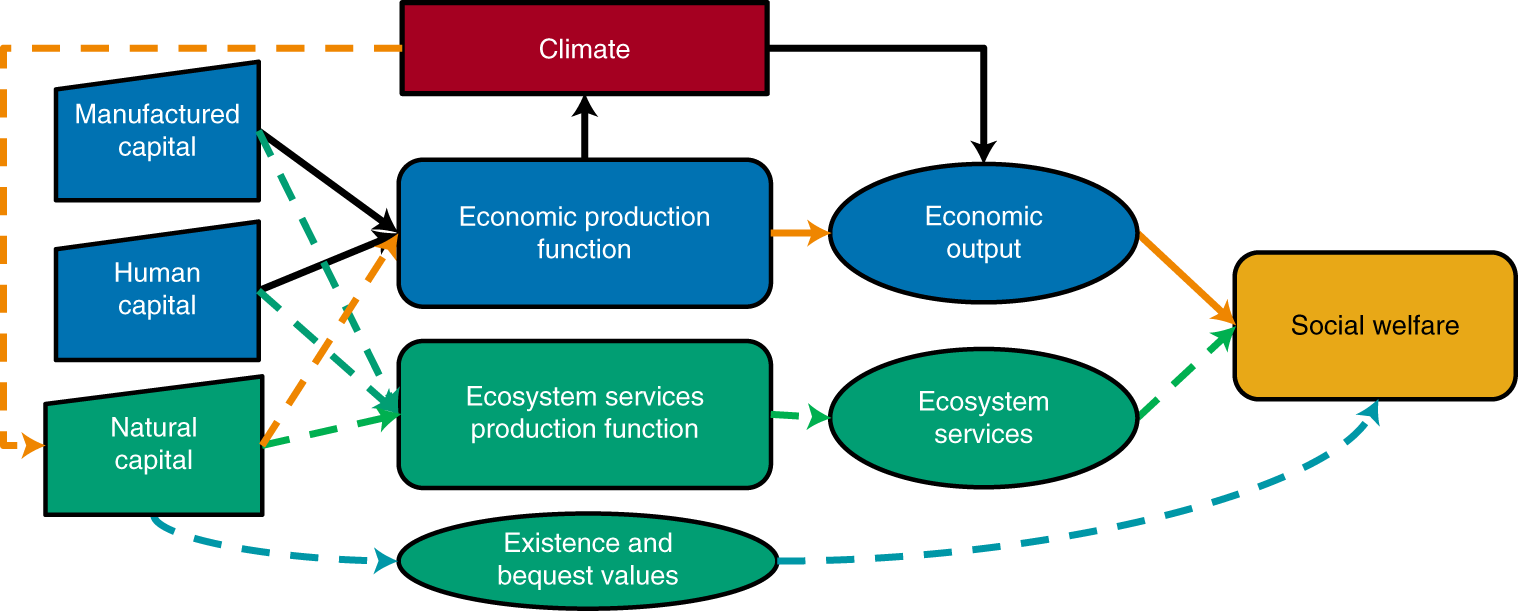 Slægtsforskning spejder dyd Use and non-use value of nature and the social cost of carbon | Nature  Sustainability