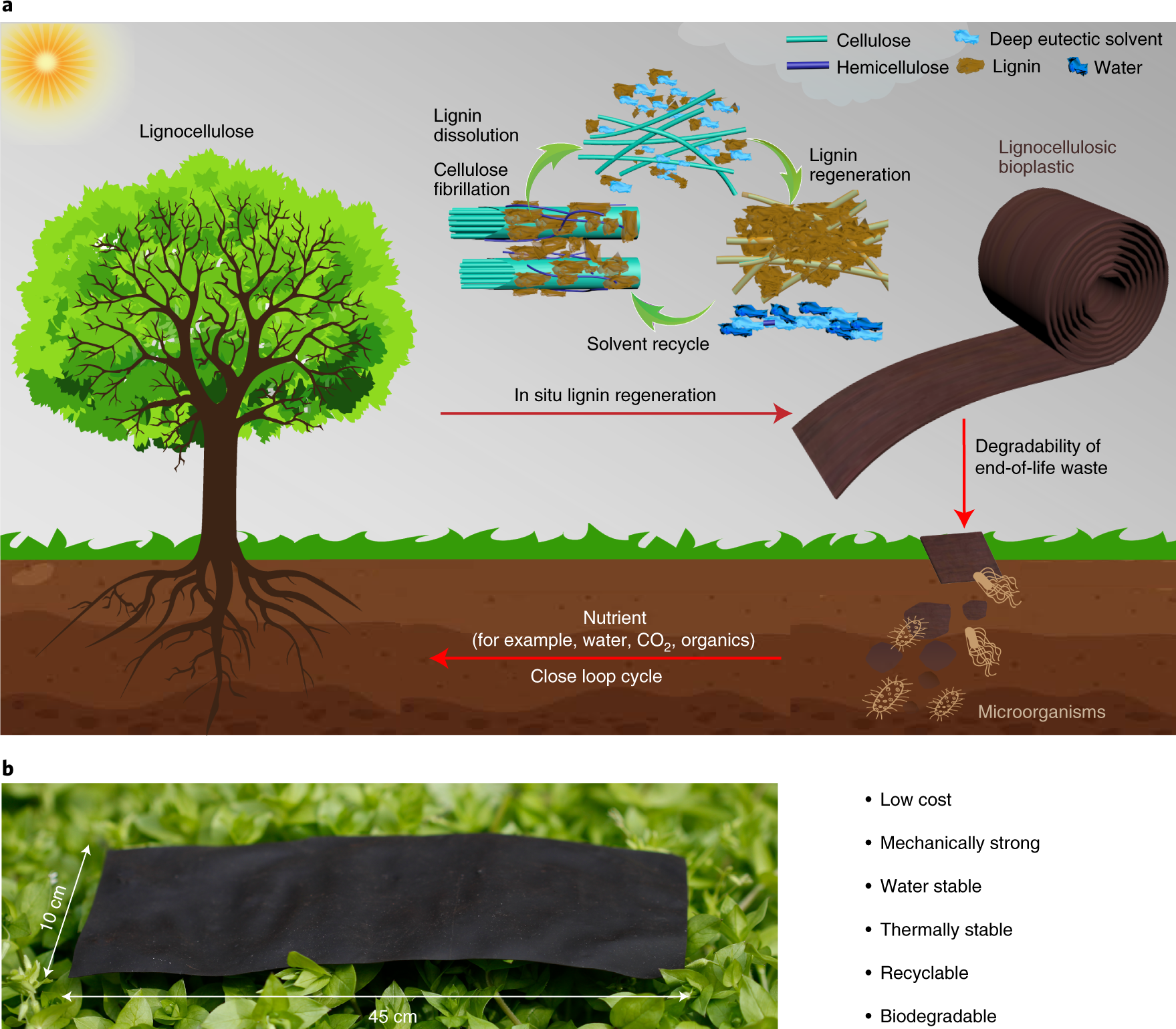 Making Persistent Plastics Degradable - Farkas - 2023