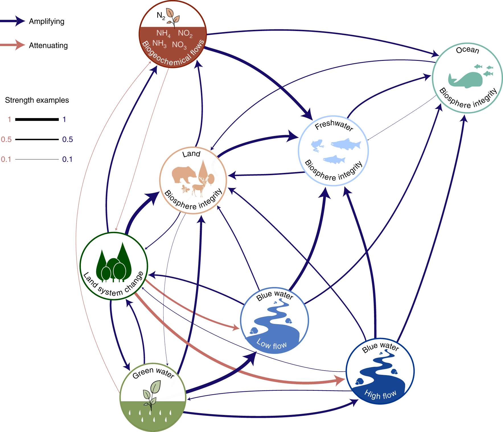 Fig. 4: A network diagram of the identified interactions with a force-directed layout.