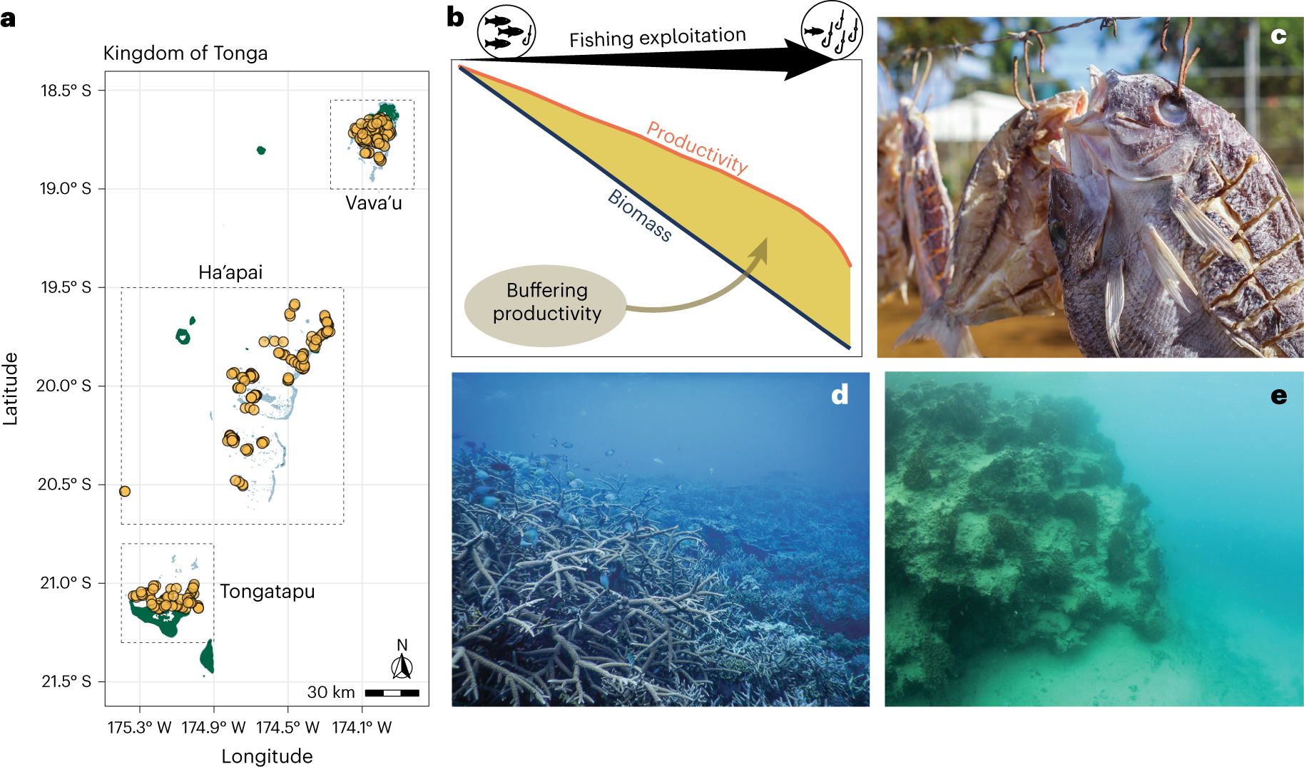 Fishing and integrated subsistence in central Mexican domesticated