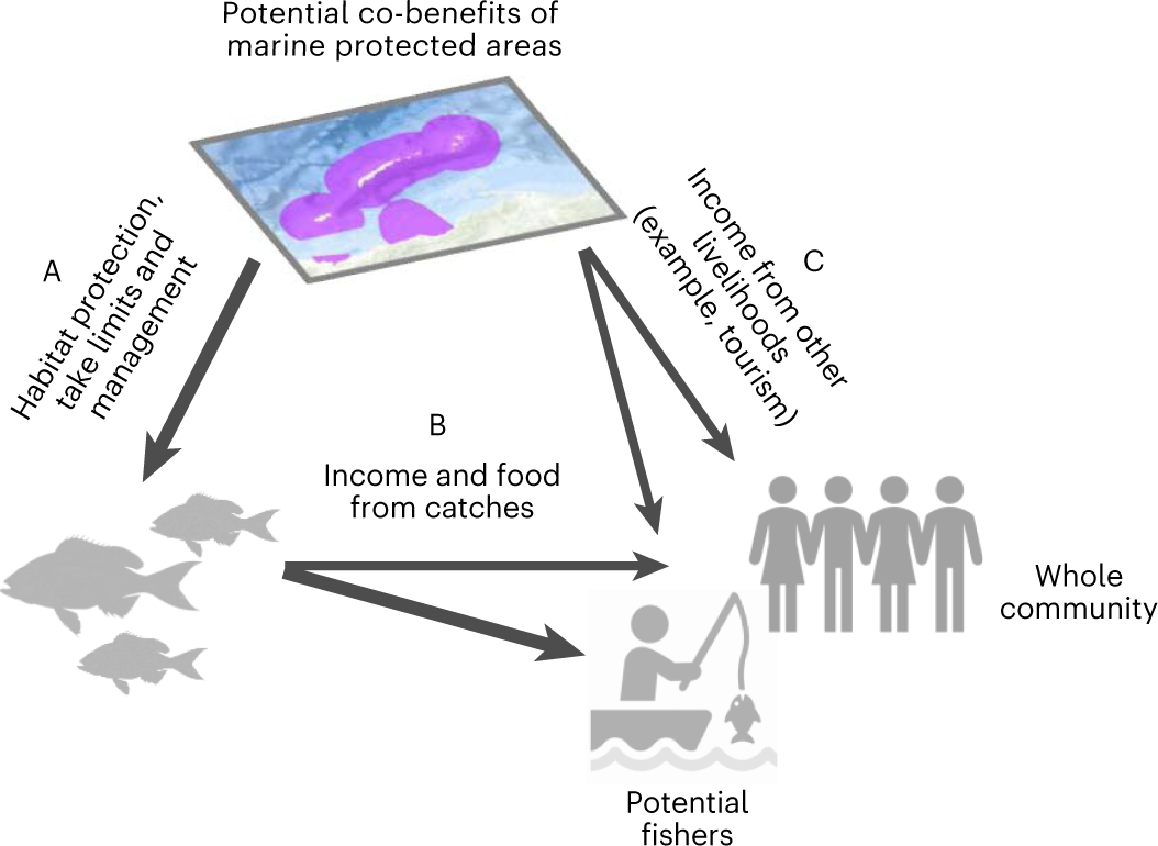Co-benefits of marine protected areas for nature and people