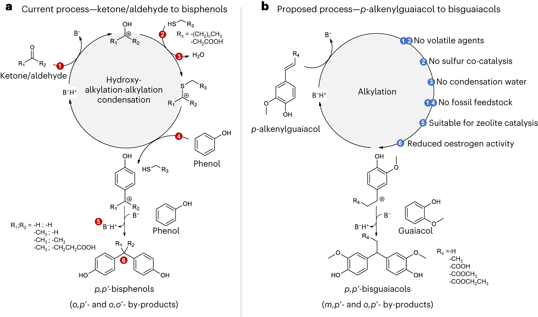 Renewable and safer bisphenol A substitutes enabled by selective zeolite  alkylation | Nature Sustainability