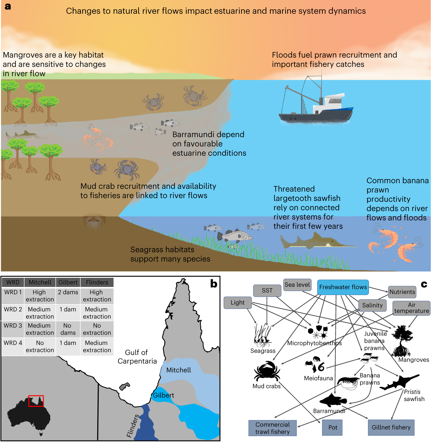 PDF) Characterization of the fishing system of ian shrimp production  in the ian estuary