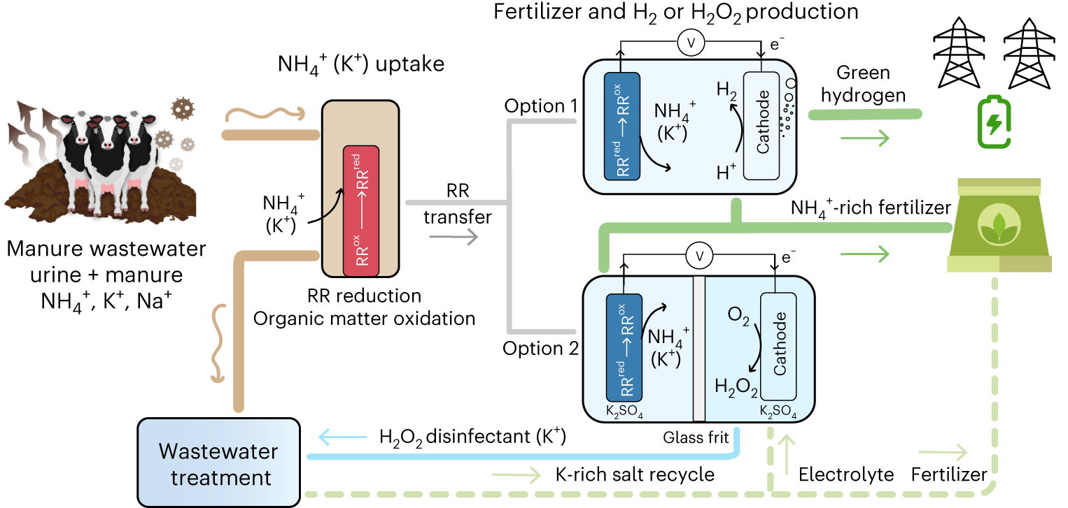 Electrochemical ammonia recovery and co-production of chemicals from manure  wastewater | Nature Sustainability