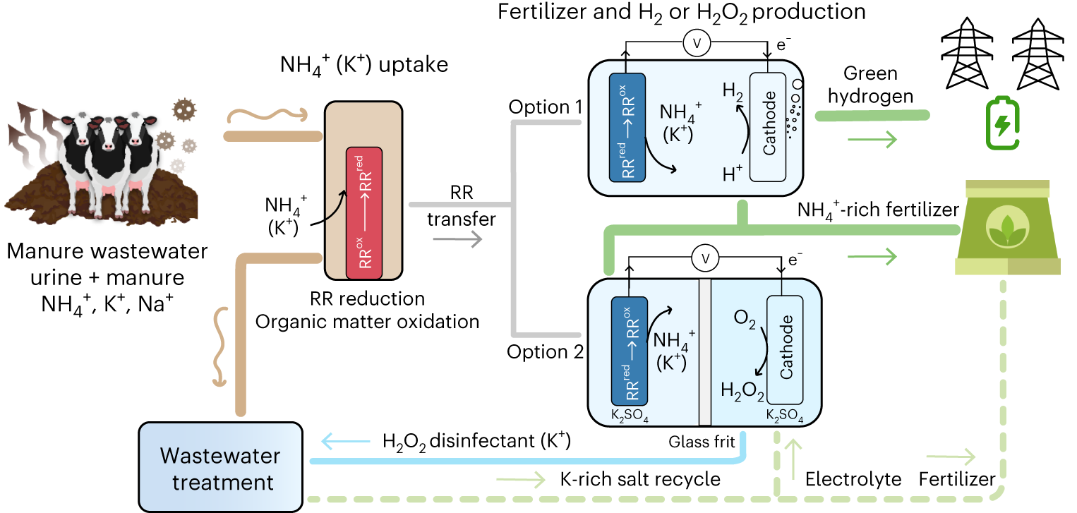 The complicated process of recycling batteries in Washington state