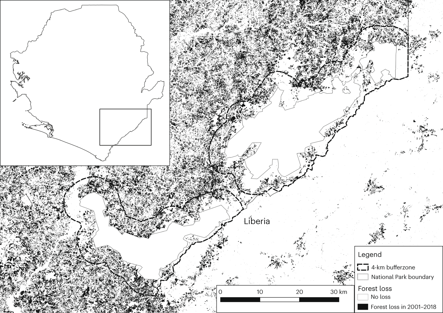 Fig. 1: Yearly forest loss in the Gola Rainforest National Park area in Sierra Leone.