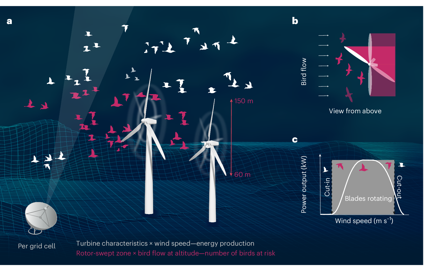 Bird migration and wind-energy production across Western Europe