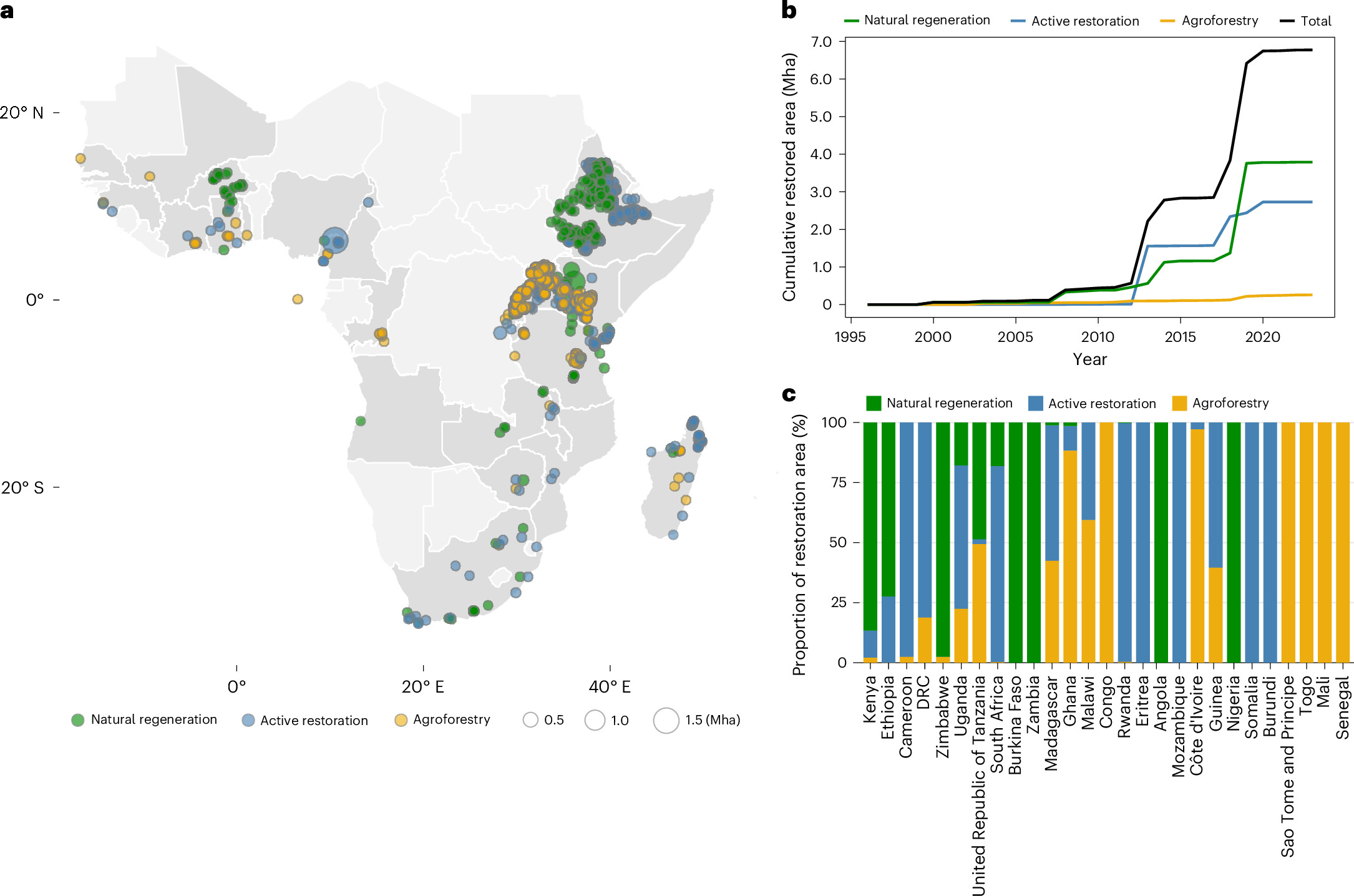 Photograph accompanying Satellite records link African restoration projects to tree-loss changes up to 10 kilometers away