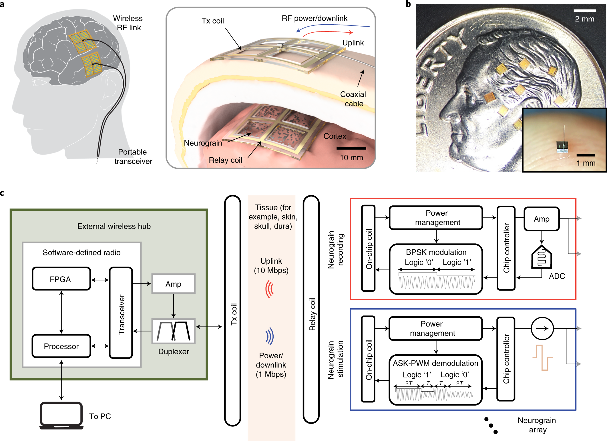 Neural recording and stimulation using wireless networks of microimplants |  Nature Electronics