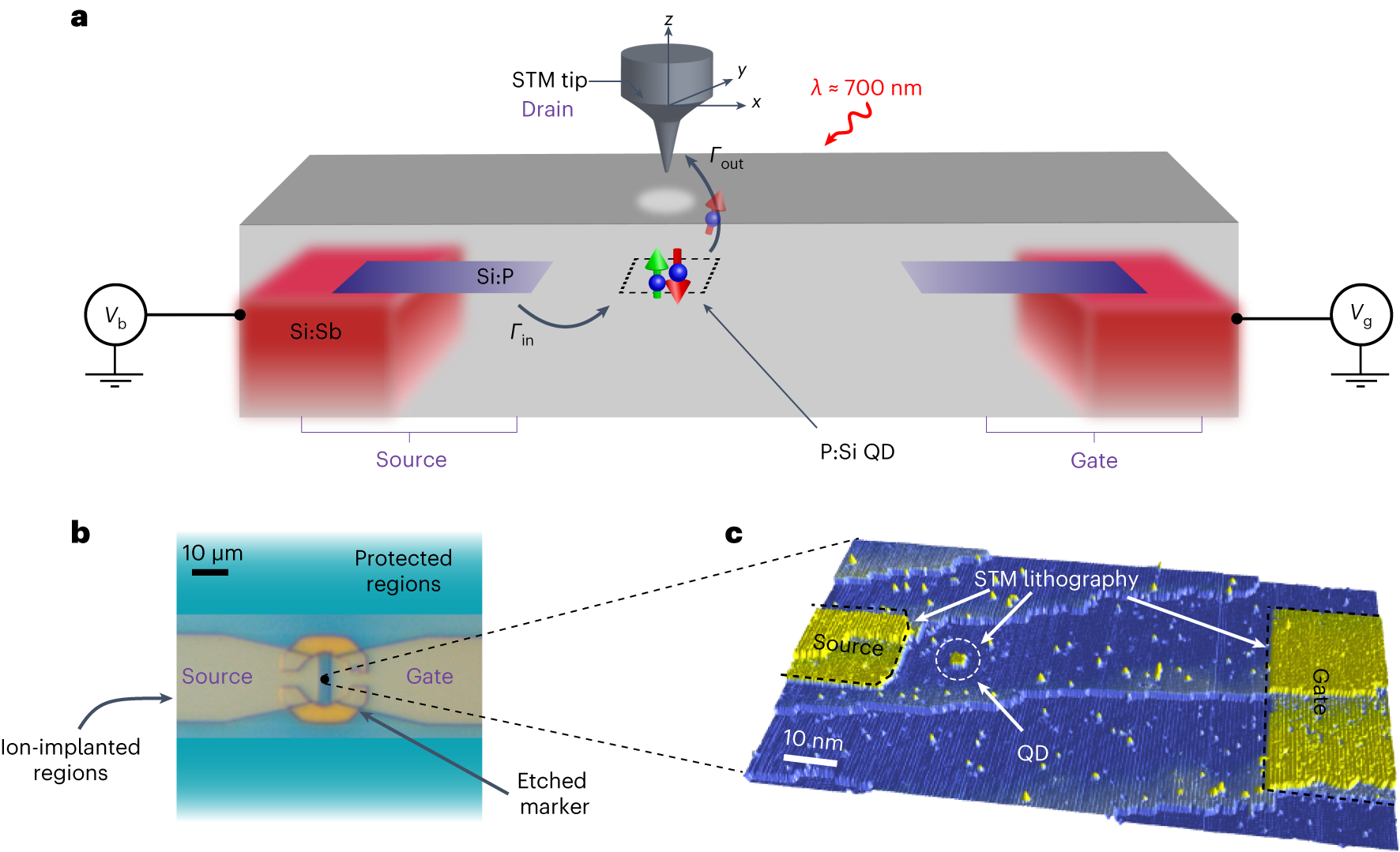 A solid-state quantum microscope for wavefunction control of an atom-based  quantum dot device in silicon